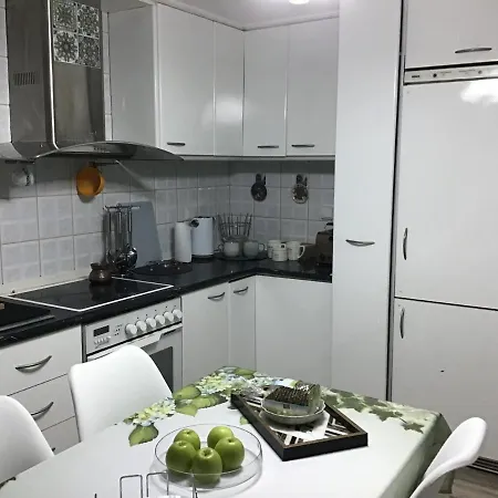 Apartment Elena's